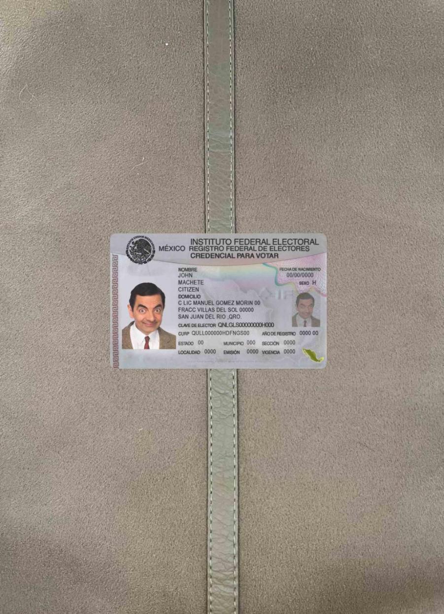 Blank Mexico ID photolook sample